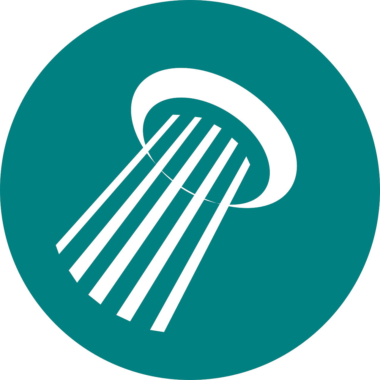 Duschsystem aus poliertem Nickel