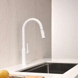 Sly Chrom Spüle Wasserhahn mit Sprühwandhalterung ausziehen Küchenarmatur herausziehen