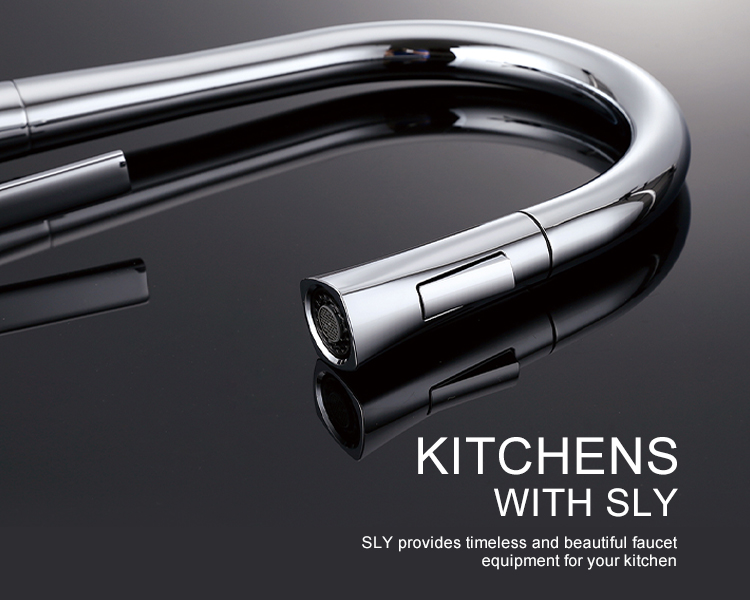 K&uuml;chenarmatur mit Seitenspr&uuml;her